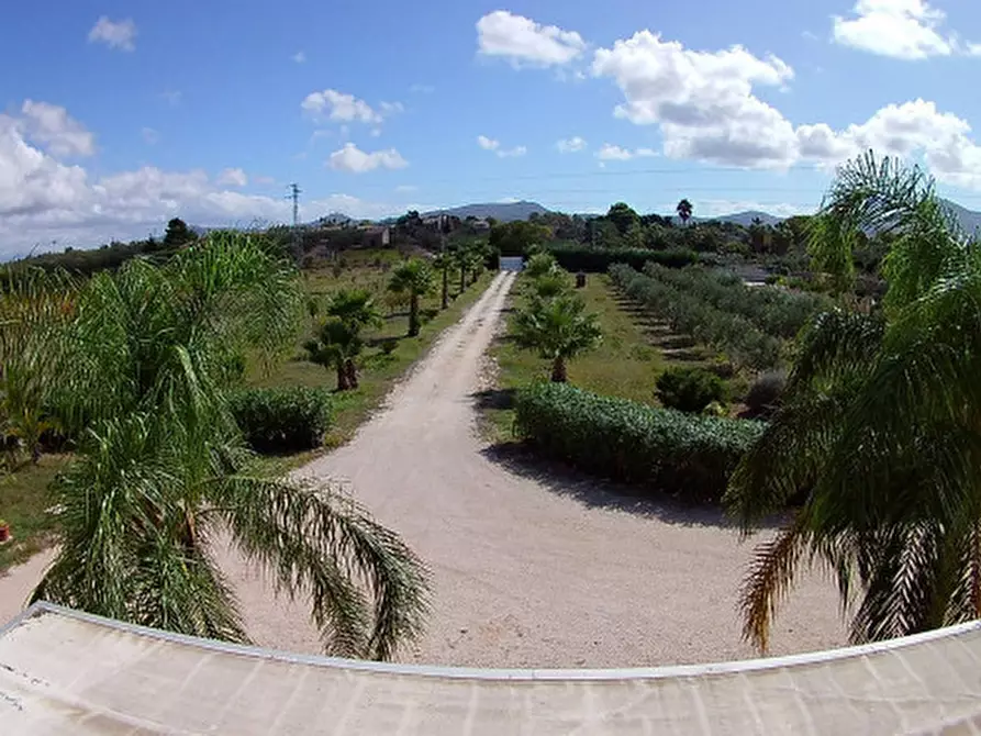 Immagine 7 di Villa in vendita  a Partinico