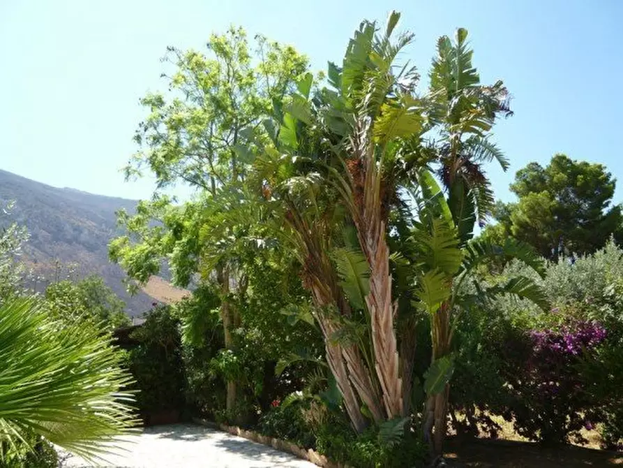 Immagine 84 di Villa in vendita  a Castellammare Del Golfo