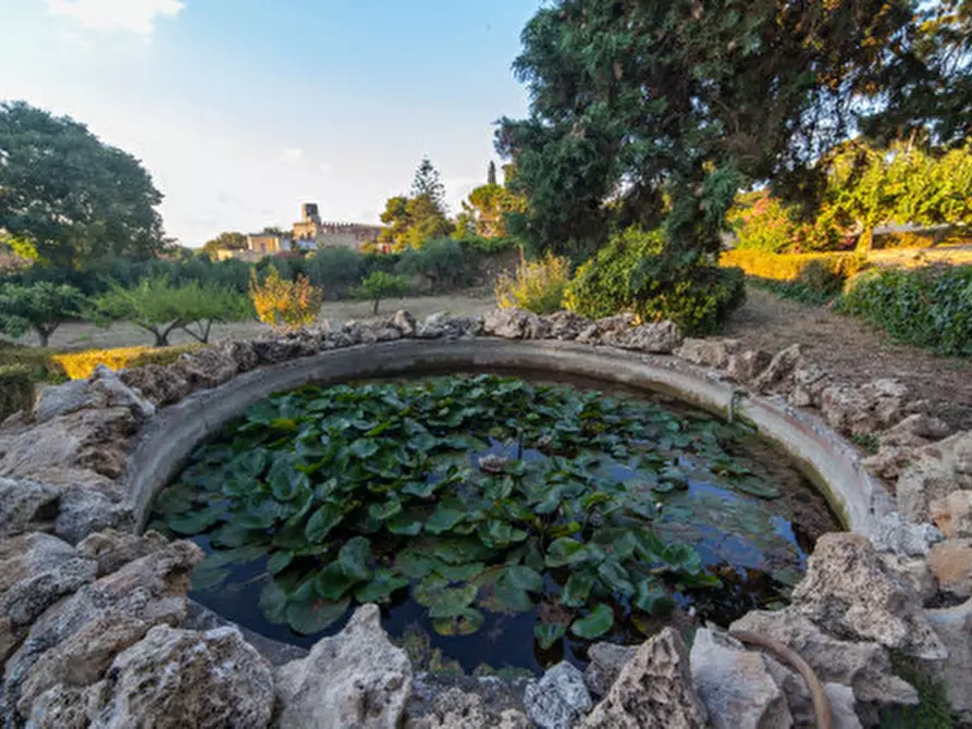 Immagine 28 di Villa in vendita  a Valderice