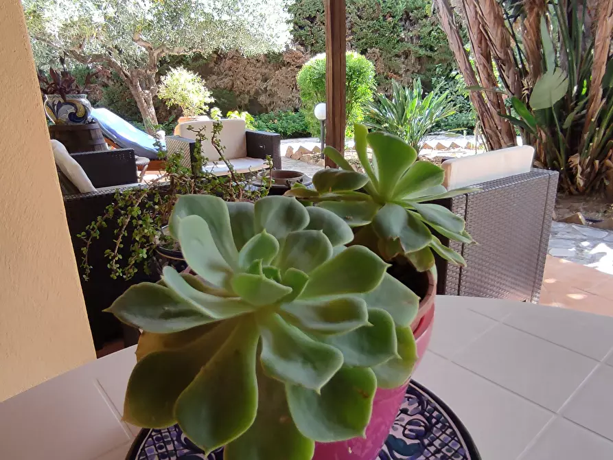 Immagine 74 di Villa in vendita  a Castellammare Del Golfo