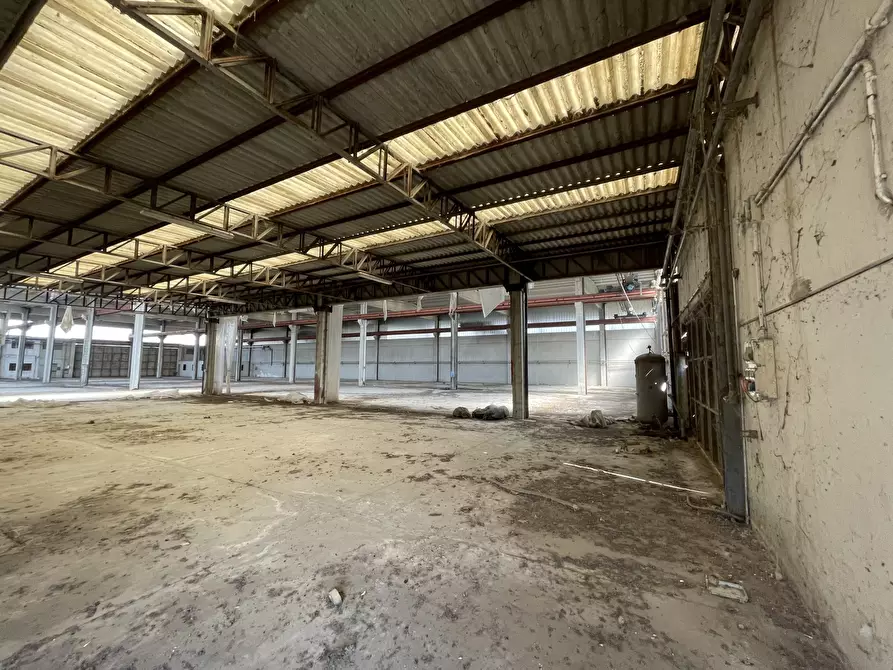 Immagine 4 di Capannone industriale in vendita  in Via delle Barazzine 4 a Pieve Porto Morone