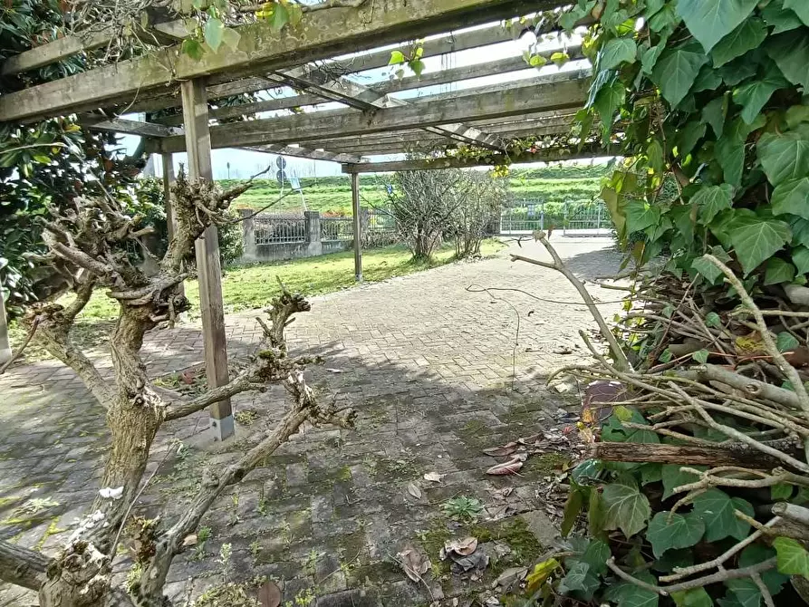 Immagine 5 di Porzione di casa in vendita  a Boara Pisani