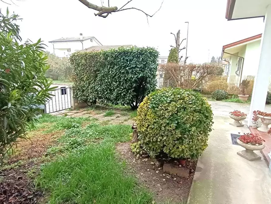 Immagine 4 di Casa bifamiliare in vendita  a Bosaro