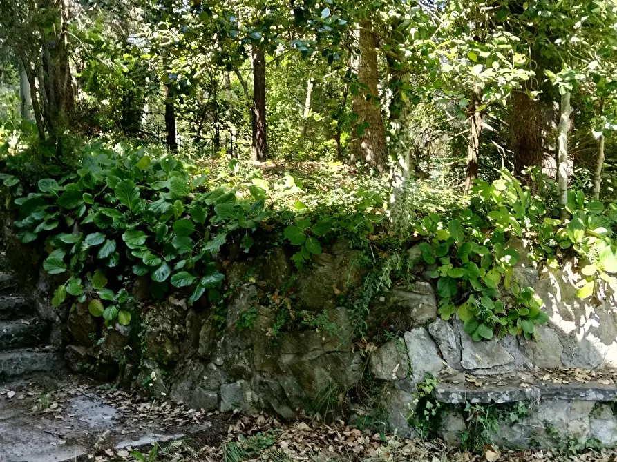 Immagine 4 di Villa in vendita  a San Remo