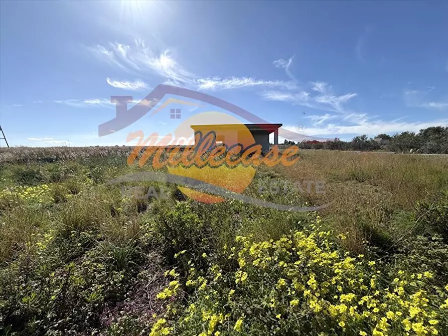 Immagine 5 di Villa in vendita  in CASTELLUCCIO a Augusta