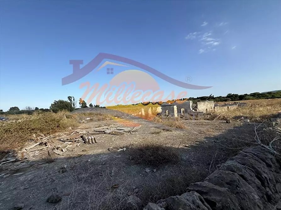 Immagine 15 di Terreno agricolo in vendita  in TRAVERSA SAN FRANCESCO a Siracusa