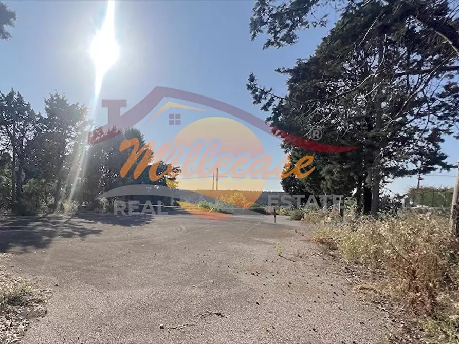 Immagine 7 di Villa in vendita  in VIA BLANCO a Siracusa