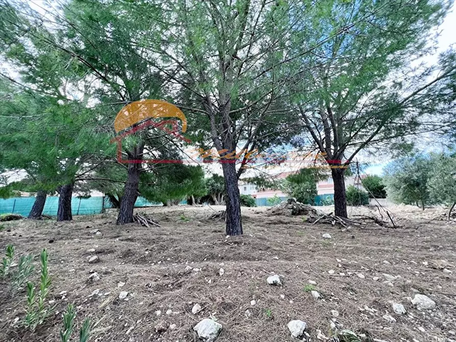 Immagine 2 di Terreno industriale in vendita  in VIALE SCALA GRECA a Siracusa