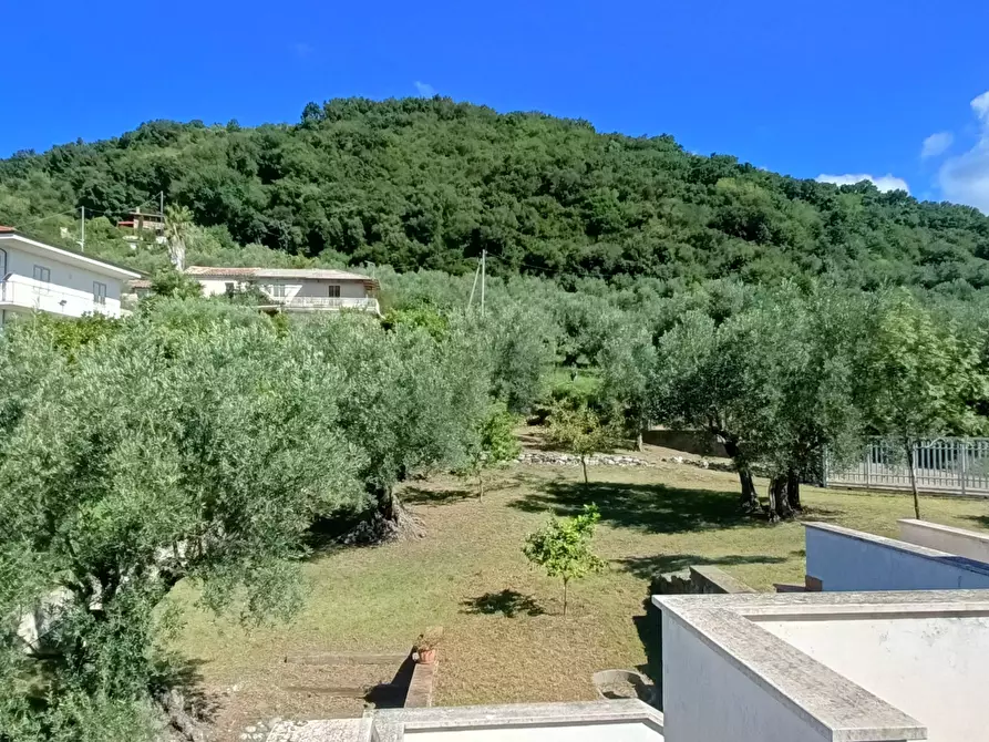 Immagine 14 di Villa in vendita  in SP79 a Feroleto Antico