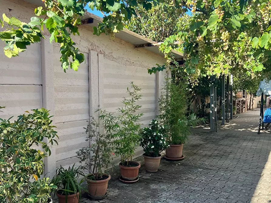 Immagine 20 di Pentalocale in vendita  in Traversa III Amalfi a Gizzeria