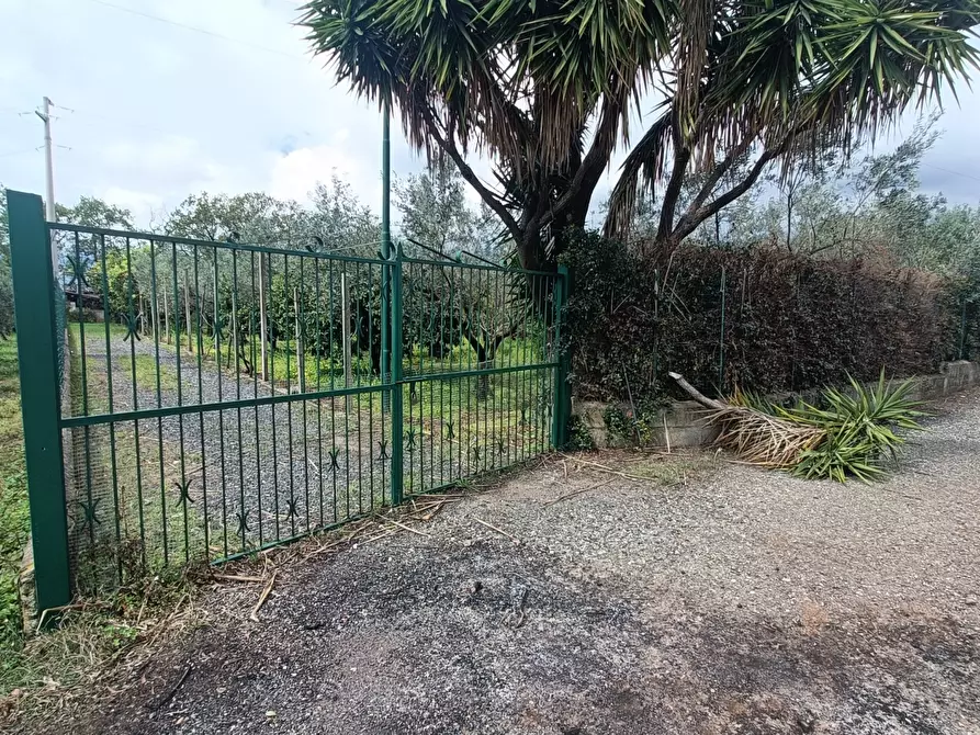 Immagine 13 di Casa indipendente in vendita  in strada provinciale a Pianopoli