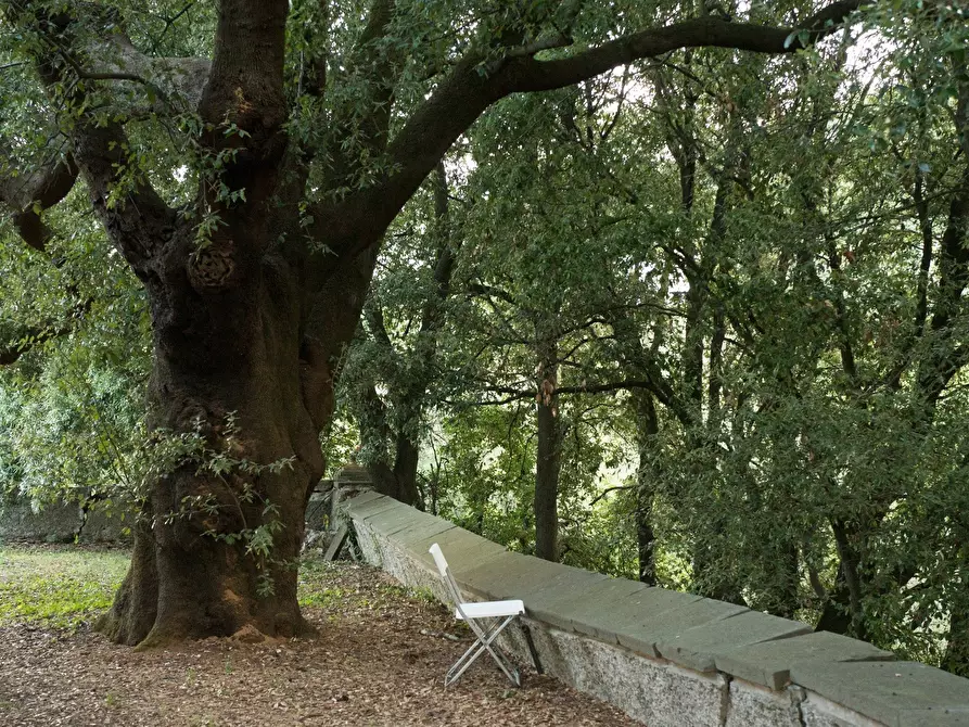 Immagine 60 di Villa in vendita  a Sarzana