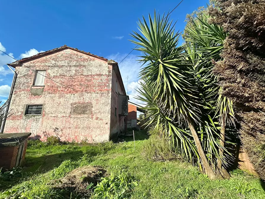 Immagine 7 di Rustico / casale in vendita  a Sarzana