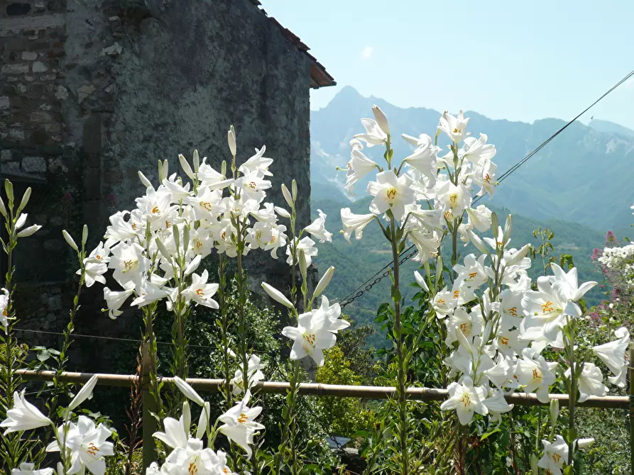 Immagine 58 di Casa indipendente in vendita  in Località Luscignano 18 a Casola In Lunigiana
