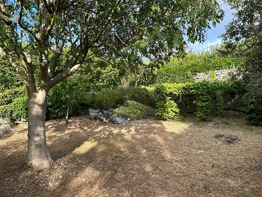 Immagine 15 di Rustico / casale in vendita  a Ameglia