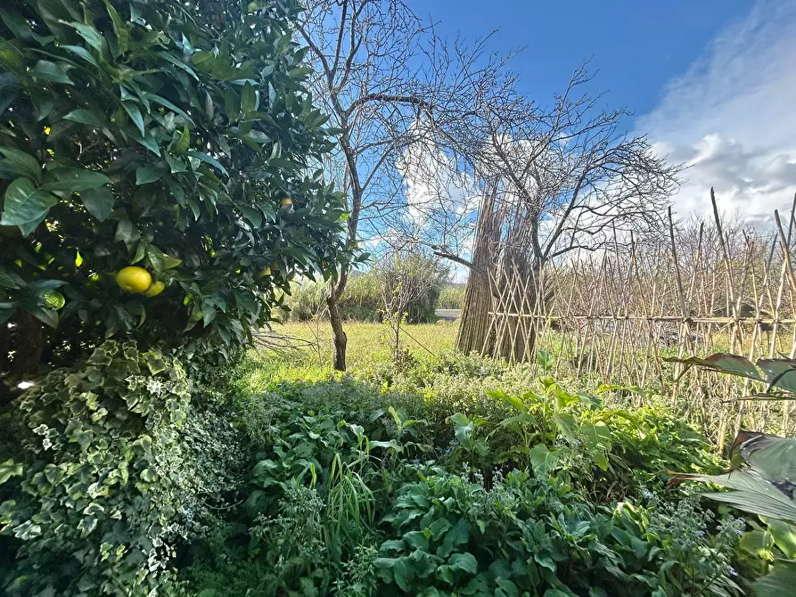 Immagine 31 di Rustico / casale in vendita  a Sarzana