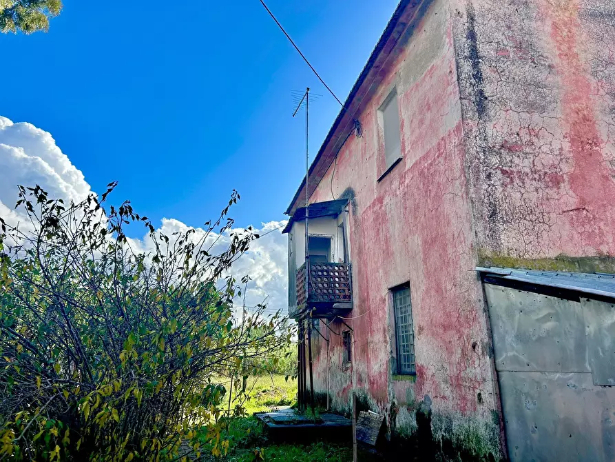 Immagine 15 di Rustico / casale in vendita  a Sarzana