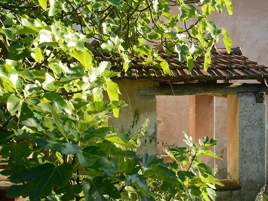 Immagine 28 di Villa in vendita  a Sarzana