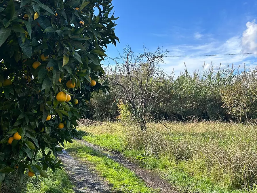 Immagine 23 di Rustico / casale in vendita  a Sarzana
