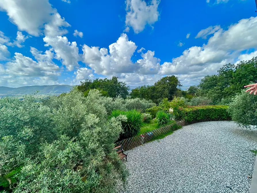 Immagine 9 di Villa in vendita  a Sarzana