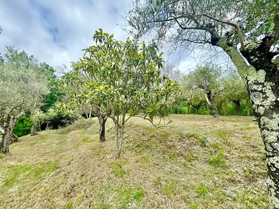Immagine 27 di Casa indipendente in vendita  a Castelnuovo Magra