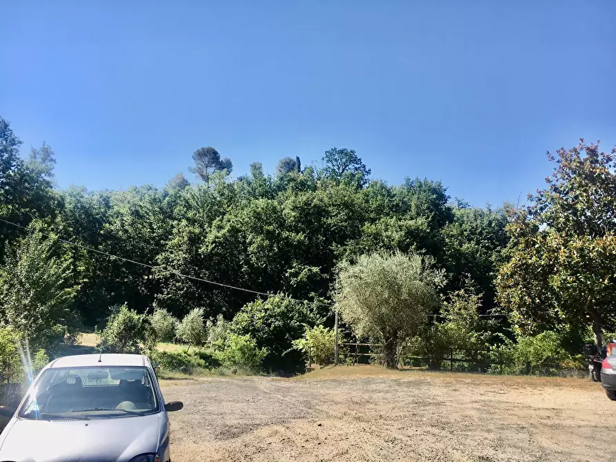 Immagine 8 di Rustico / casale in vendita  a Castelnuovo Magra