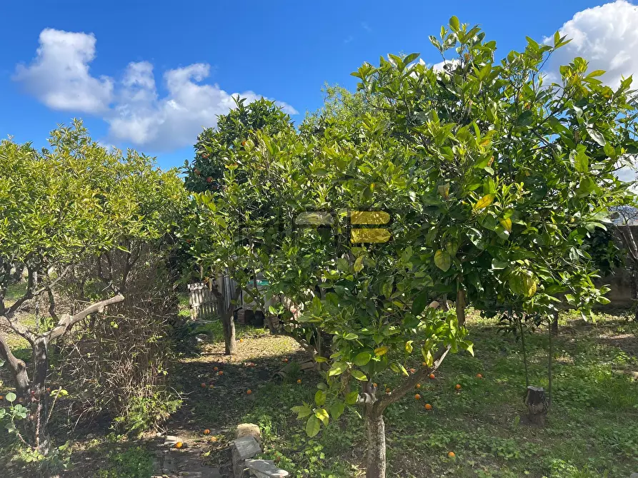 Immagine 13 di Casa indipendente in vendita  a Valderice