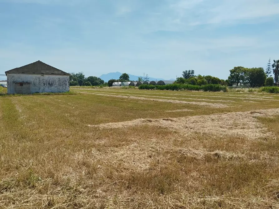 Immagine 5 di Terreno agricolo in vendita  in via bernardo tanucci a Eboli