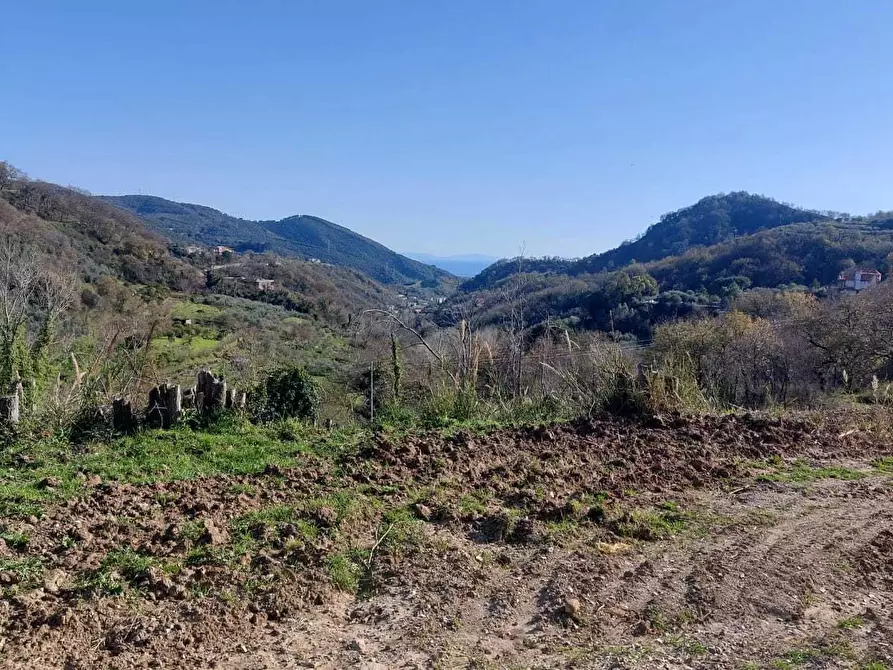 Immagine 4 di Terreno agricolo in vendita  in via casa vicinanza a Salerno
