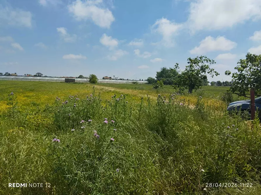 Immagine 20 di Terreno agricolo in vendita  in via bernardo tanucci a Eboli