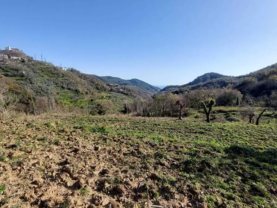 Immagine 7 di Terreno agricolo in vendita  in via casa vicinanza a Salerno
