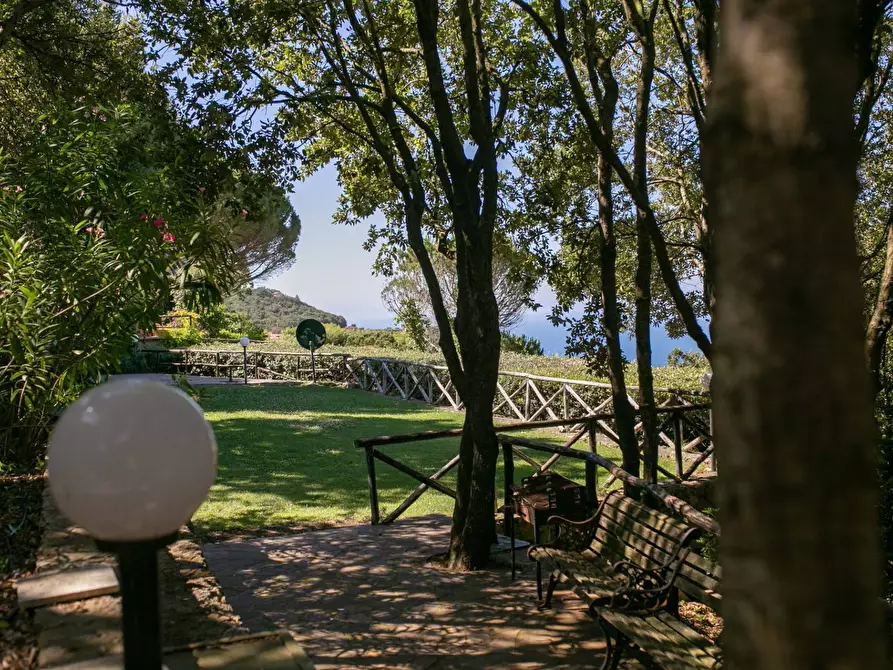Immagine 21 di Porzione di casa in vendita  in Cala Piccola snc a Monte Argentario