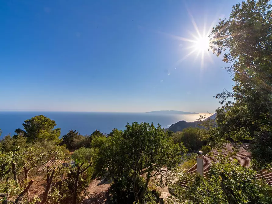 Immagine 1 di Casa indipendente in vendita  in Via del Campone 96 a Monte Argentario