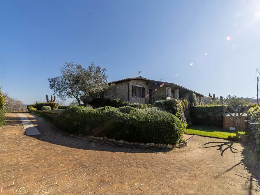 Immagine 32 di Villetta a schiera in vendita  in Montemerano snc a Manciano