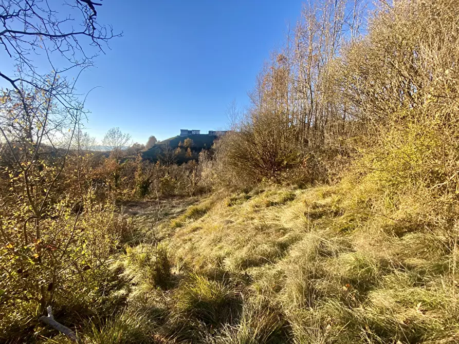 Immagine 7 di Terreno agricolo in vendita  in SP115 15 a Marsaglia