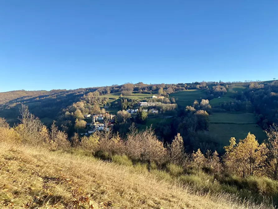 Immagine 6 di Terreno agricolo in vendita  in SP115 15 a Marsaglia