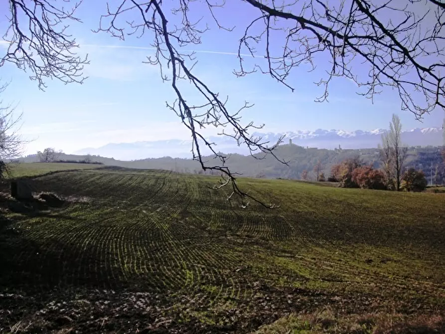 Immagine 3 di Rustico / casale in vendita  in Via Rea Sottana a Murazzano