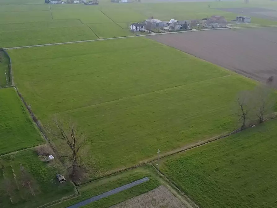Immagine 4 di Terreno agricolo in vendita  a San Secondo Parmense