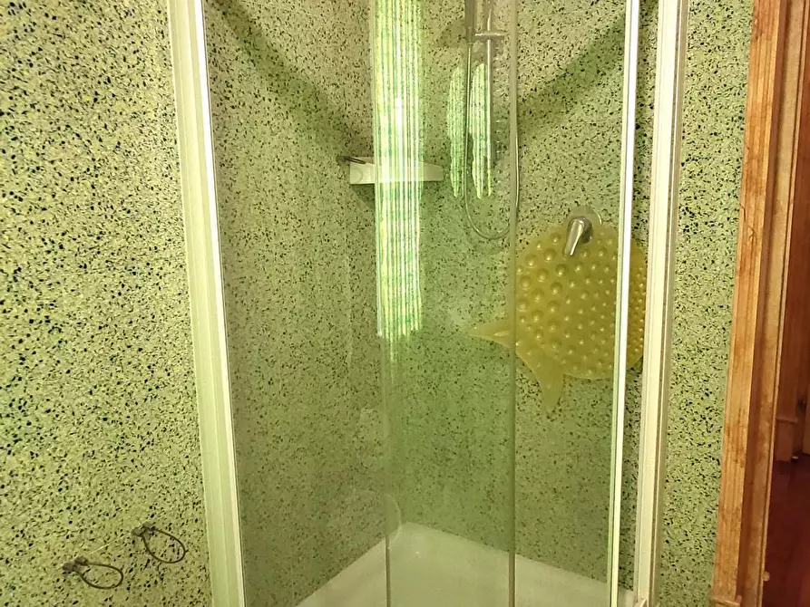 Immagine 22 di Porzione di casa in vendita  in Via Michele Vitali Mazza 4 a San Secondo Parmense