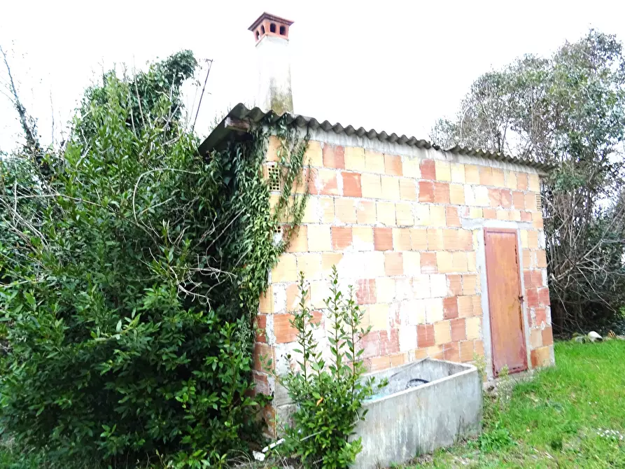 Immagine 35 di Casa bifamiliare in vendita  a Senigallia