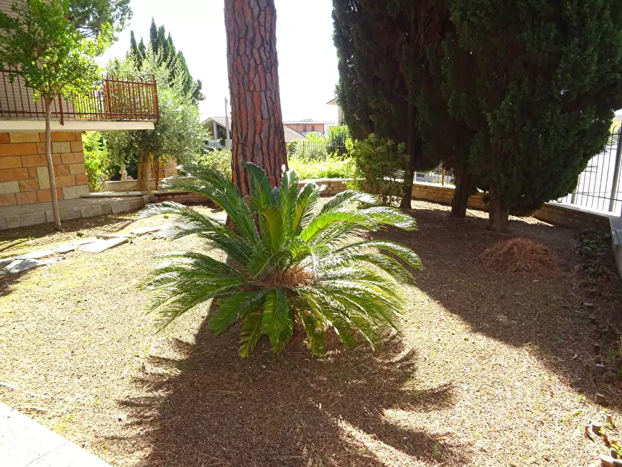 Immagine 10 di Villa in vendita  a Corinaldo