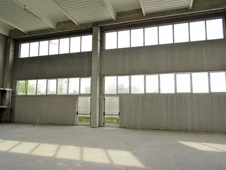 Immagine 3 di Attività artigianale in vendita  a Senigallia