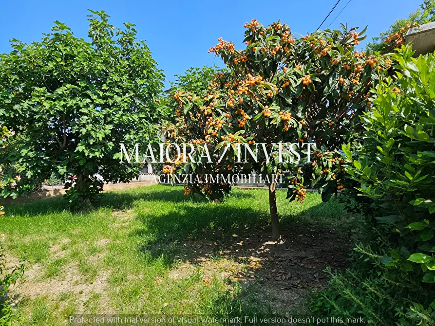 Immagine 10 di Casa bifamiliare in vendita  in CONTRADA FIOBBO 14 a Spinetoli