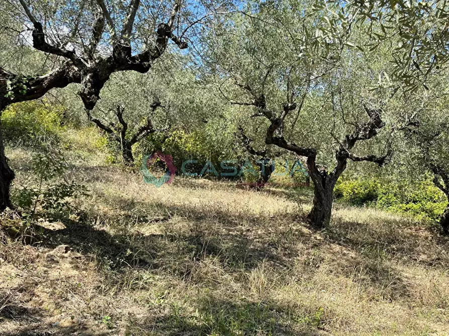 Immagine 28 di Casa indipendente in vendita  a Civitella Casanova