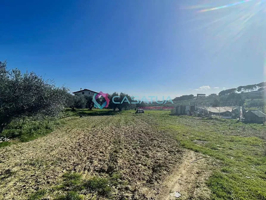Immagine 36 di Terreno agricolo in vendita  a Silvi
