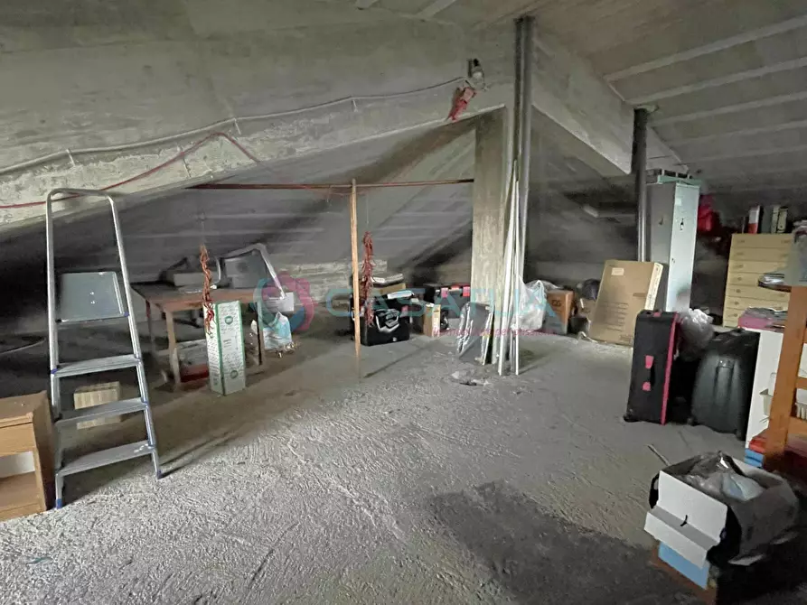 Immagine 43 di Porzione di casa in vendita  a Silvi