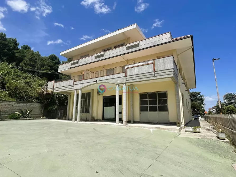 Immagine 2 di Attico in vendita  a Pineto