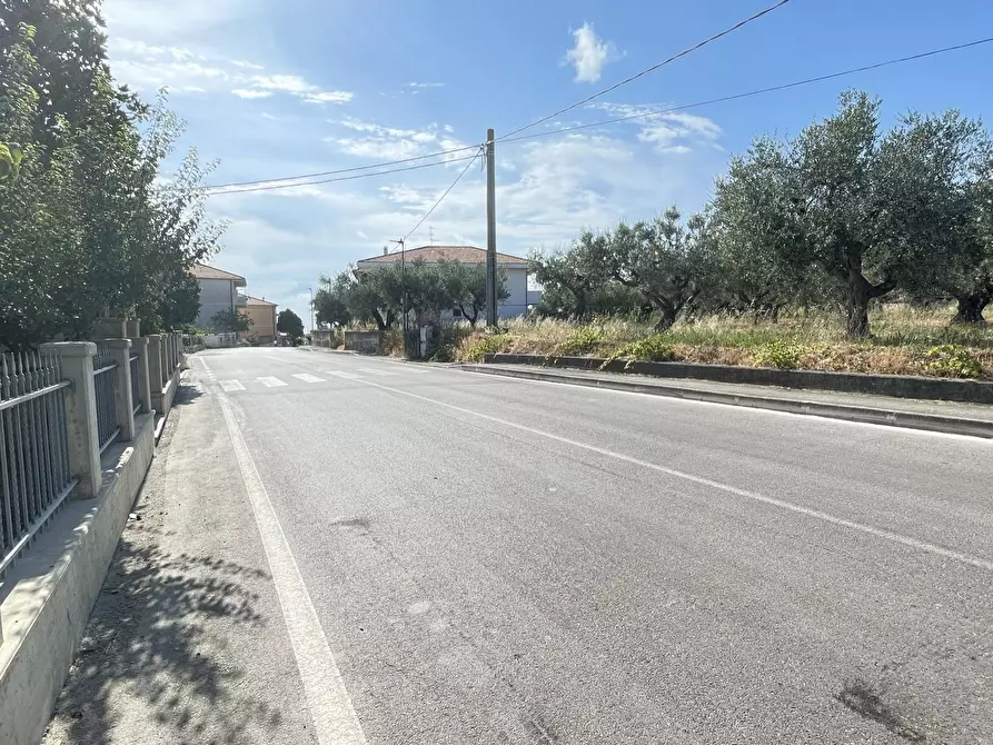 Immagine 20 di Terreno agricolo in vendita  a Silvi