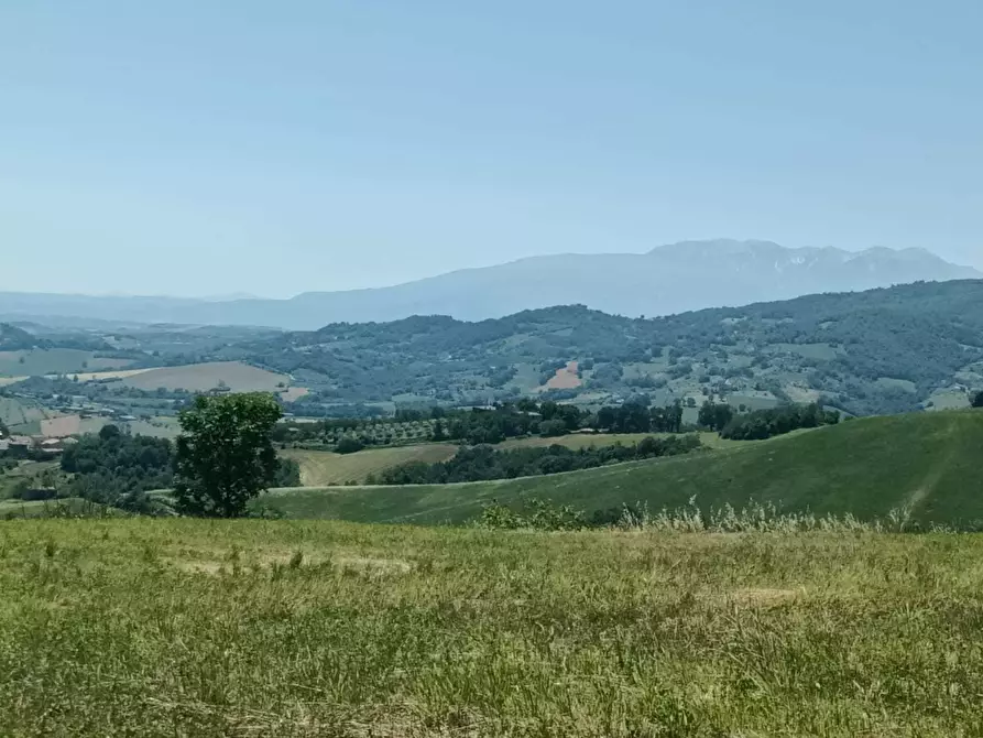 Immagine 20 di Terreno agricolo in vendita  a Farindola
