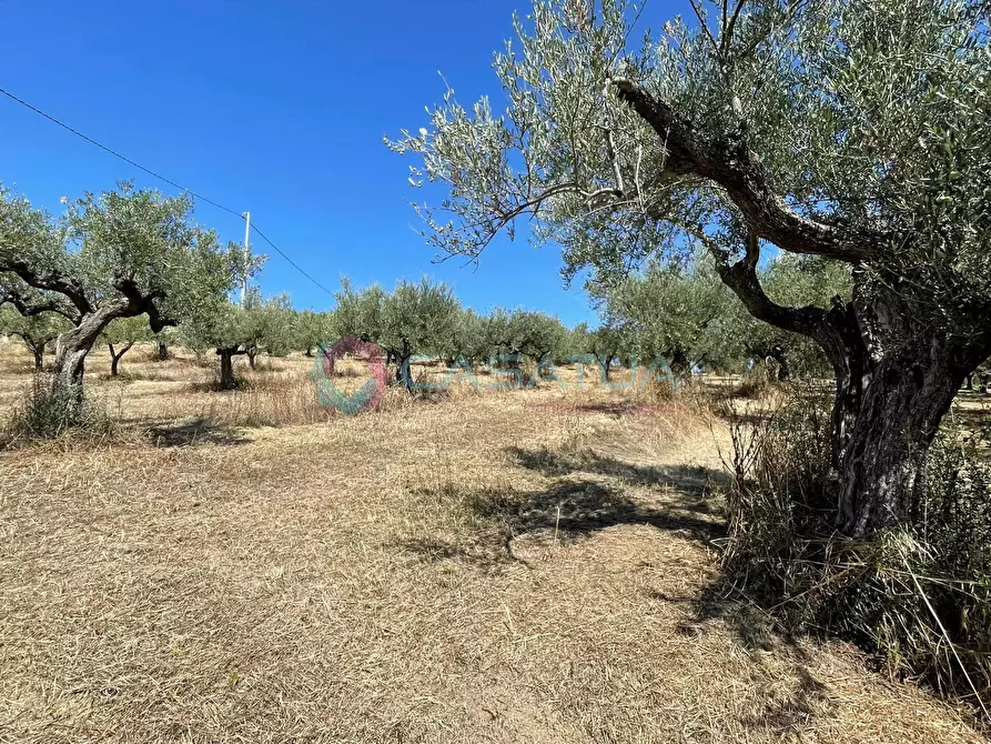 Immagine 24 di Casa indipendente in vendita  a Civitella Casanova